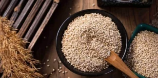 The Nutrition Renaissance: Traditional Foods Find Their Place in Modern Cuisine The Nutrition Renaissance: Traditional Foods Find Their Place in Modern Cuisine