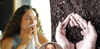 TikTok users eating dirt to improve skin and gut health. TikTok users eating dirt to improve skin and gut health.