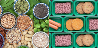 Vegans Need Ultra-Processed Proteins for Healthy Diet, Study Says Unprocessed vs Ultra-Processed Vegan Protein Sources