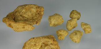 Vegans’ intake of protein and essential amino acids is adequate but ultra-processed products are also needed: Study Vegans' intake of protein and essential amino acids is adequate but ultra-processed products are also needed: Study