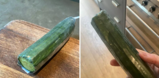 Viral cucumber trend blamed for major problem after it becomes huge obsession with Gen Z Viral cucumber trend blamed for major problem after it becomes huge obsession with Gen Z