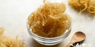 'Plant-Based Aquatic Ingredients' Tipped To Be 2025 Food Trend 'Plant-Based Aquatic Ingredients' Tipped To Be 2025 Food Trend