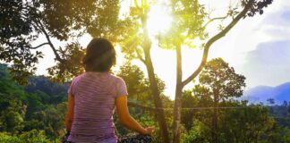5 Stress Management Tips from Our World-Weary Team 5 Stress Management Tips from Our World-Weary Team