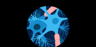 A Cure for Multiple Sclerosis? Scientists Say Within Our Lifetime A Cure for Multiple Sclerosis? Scientists Say Within Our Lifetime