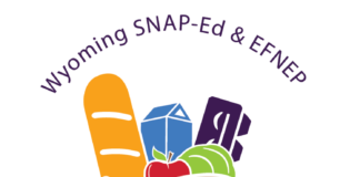 Cent$ible Nutrition distributed over 3,000 pounds of fresh produce in Fremont County area this summer Cent$ible Nutrition distributed over 3,000 pounds of fresh produce in Fremont County area this summer