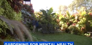 Chicago police officer’s lush Garfield Park garden stops traffic, helps him cope with mental health Chicago police officer's lush Garfield Park garden stops traffic, helps him cope with mental health