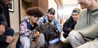 Counseling Services Hosts IMALIVE Mental Health Fair – News Counseling Services Hosts IMALIVE Mental Health Fair - News