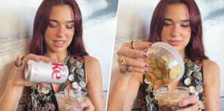 Dua Lipa Puts Pickle Juice in Diet Coke: We Tried the Concoction Dua Lipa Puts Pickle Juice in Diet Coke: We Tried the Concoction
