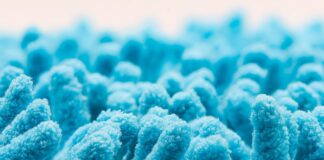 Genetic and microbiome links to mental health disorders Study: Gut microbial and human genetic signatures of inflammatory bowel disease increase risk of comorbid mental disorders. Image Credit: TopMicrobialStock/Shutterstock.com