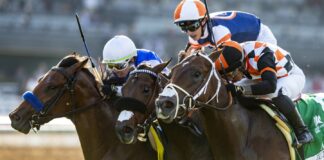 HISA, Jockeys’ Guild partner with mental-health company to offer jockeys access to care and support HISA, Jockeys' Guild partner with mental-health company to offer jockeys access to care and support