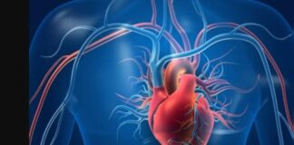 How diet, exercise and stress management can lower cardiovascular disease risk – Firstpost How diet, exercise and stress management can lower cardiovascular disease risk – Firstpost