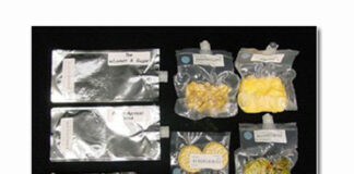 NASA engages commercial food industry in advancing space nutrition Human adaptation to spaceflight explored in latest NASA Nutrition Book