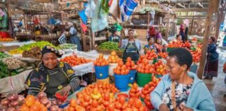 InfoPoint conference: World Food Day – Team Europe committed to support healthy diets and nutrition InfoPoint conference: World Food Day - Team Europe committed to support healthy diets and nutrition