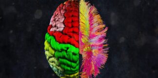 Insights & Outcomes: Neuron networks, Arctic warming and neonatal nutrition Insights & Outcomes: Neuron networks, Arctic warming and neonatal nutrition