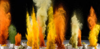 Key trends driving growth in the food ingredients sector Key trends driving growth in the food ingredients sector