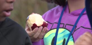 Milwaukee students learn about nutrition, healthy food at farm Milwaukee students learn about nutrition, healthy food at farm