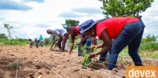 Opinion: The climate crisis is a nutrition crisis Opinion: The climate crisis is a nutrition crisis