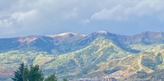 Place of Optimal Wellness introduces unique therapy model to Utah