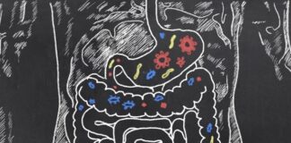 Revolutionizing precision nutrition with gut microbiome insights Revolutionizing precision nutrition with gut microbiome insights