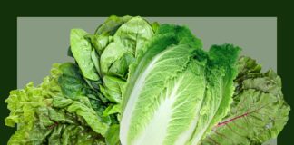 The CDC Says These Are 4 of the Most Nutrient-Dense Vegetables You Need to Add to Your Diet The CDC Says These Are 4 of the Most Nutrient-Dense Vegetables You Need to Add to Your Diet