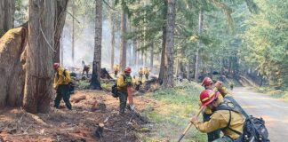 The mental health impact facing Oregon’s wildland firefighters The mental health impact facing Oregon’s wildland firefighters