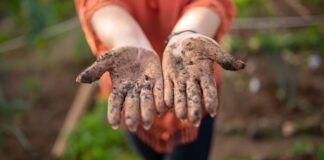 TikTokers Are Eating Dirt. Should You? TikTokers Are Eating Dirt. Should You?