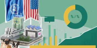 Trends, Market Size & Analysis – Dogster World & US Pet Food Industry Facts and Statistics