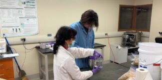 UWM School of Freshwater Sciences research fish nutrition UWM School of Freshwater Sciences research fish nutrition