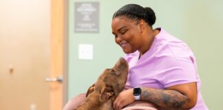 Veterinary student creates nutrition guidelines for animal shelters Veterinary student creates nutrition guidelines for animal shelters