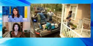 Video: Psychoanalyst shares tips on coping skills for your mental health after a natural disaster Video: Psychoanalyst shares tips on coping skills for your mental health after a natural disaster