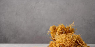 Why sea moss is gaining popularity as a versatile superfood Sea Moss, closeup dried seaweed, used as food supplement.
