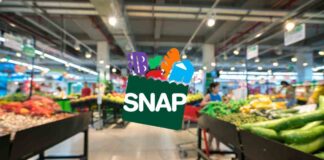 how it helps millions of families How SNAP supports families in need across the U.S.