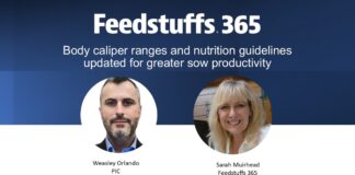 Body caliper ranges and nutrition guidelines updated for greater sow productivity Body caliper ranges and nutrition guidelines updated for greater sow productivity