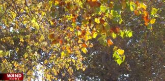 Daylight Saving Time’s impact on your physical and mental health | Top Stories Daylight Saving Time's impact on your physical and mental health | Top Stories