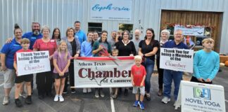 Euphoria and Novel Yoga: A wellness oasis in Athens | News Euphoria and Novel Yoga: A wellness oasis in Athens | News