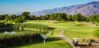 Great Health and Wellness Experiences | Sponsored Content Great Health and Wellness Experiences | Sponsored Content