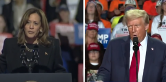 How to deal with mental health following the 2024 election How to deal with mental health following the 2024 election