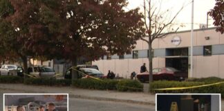 Knife-wielding goon in Halloween mask stabs man outside LI community wellness center: cops Knife-wielding goon in Halloween mask stabs man outside LI community wellness center: cops