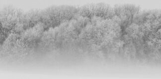 LKH Health and Wellness Center LKH Health and Wellness Center