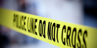 Man shot and killed during wellness check in Bandera County, official says Man shot and killed during wellness check in Bandera County, official says