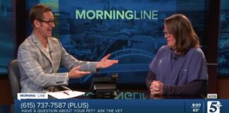 November Wellness Tips for Your Pets November Wellness Tips for Your Pets