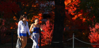 POWER: Leading wellness initiatives at UK POWER: Leading wellness initiatives at UK