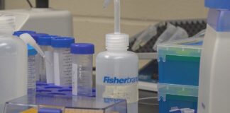 SD Mines’ nanoscience research could lead to breakthroughs in cancer treatment SD Mines' nanoscience research could lead to breakthroughs in cancer treatment