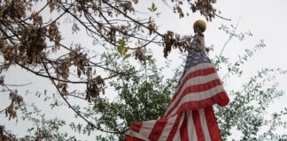 Therapists break down how to protect your mental health on Election Day Therapists break down how to protect your mental health on Election Day