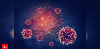 This Japanese diet can stop cancer cell growth, says study | This Japanese diet can stop cancer cell growth, says study |