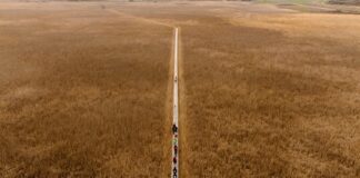 Tuberculosis research in 2024: the latest advancements Tuberculosis research in 2024: the latest advancements