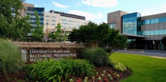 UM BWMC’s Fall Wellness Day Connects Hundreds with Health Resources in Anne Arundel County John Frenaye