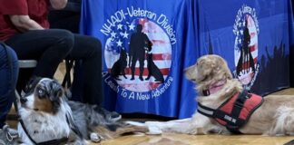 Veterans Wellness Fair is Saturday | News, Sports, Jobs Veterans Wellness Fair is Saturday | News, Sports, Jobs