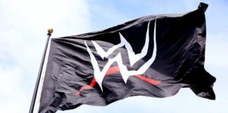 WWE Star Featured In Muscle & Fitness Hers Magazine WWE Star Featured In Muscle & Fitness Hers Magazine