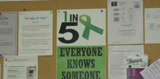 Winnebago Co. voters approve half-cent mental health tax extension Winnebago Co. voters approve half-cent mental health tax extension